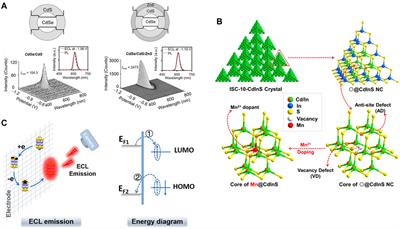 Recent Progress of Novel Electrochemiluminescence Nanoprobes and Their Analytical Applications
